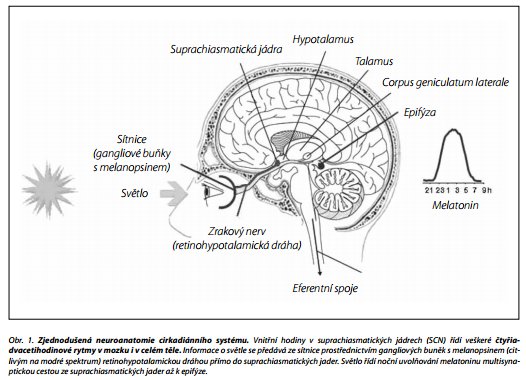 Česká a slovenská psychiatrie