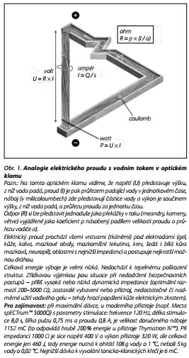 Česká a slovenská psychiatrie