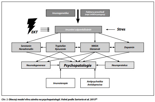 Česká a slovenská psychiatrie