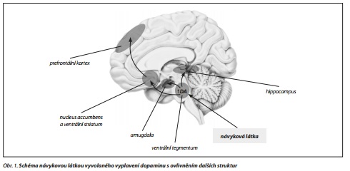 Česká a slovenská psychiatrie