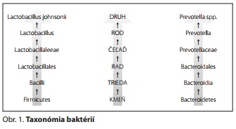 Česká a slovenská psychiatrie