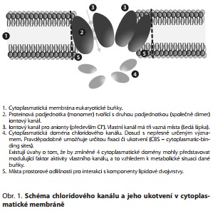 Česká a slovenská psychiatrie