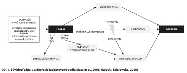 Česká a slovenská psychiatrie